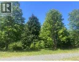 Lot 4 Creekside Dr, Quadra Island, BC V0P1N0 Photo 12