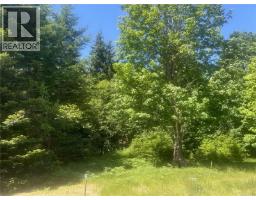 Lot 4 Creekside Dr, Quadra Island, BC V0P1N0 Photo 15