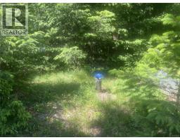 Lot 4 Creekside Dr, Quadra Island, BC V0P1N0 Photo 19
