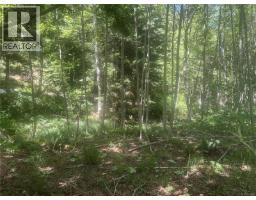 Lot 4 Creekside Dr, Quadra Island, BC V0P1N0 Photo 20