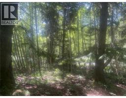 Lot 4 Creekside Dr, Quadra Island, BC V0P1N0 Photo 21