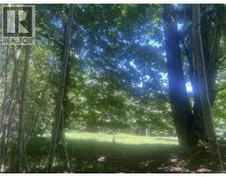 Lot 4 Creekside Dr, Quadra Island, BC V0P1N0 Photo 23