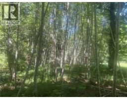 Lot 4 Creekside Dr, Quadra Island, BC V0P1N0 Photo 24