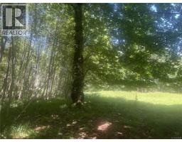 Lot 4 Creekside Dr, Quadra Island, BC V0P1N0 Photo 25