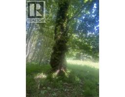Lot 4 Creekside Dr, Quadra Island, BC V0P1N0 Photo 26