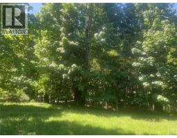Lot 4 Creekside Dr, Quadra Island, BC V0P1N0 Photo 28