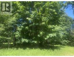 Lot 4 Creekside Dr, Quadra Island, BC V0P1N0 Photo 29
