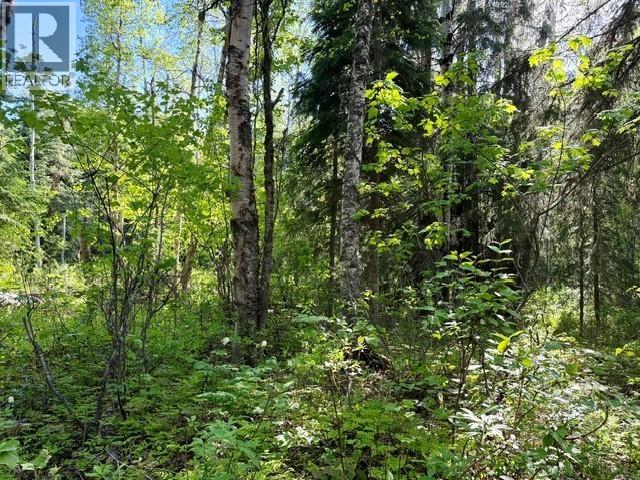 Backyard of 1475 KUENG ROAD · Prince George, BC