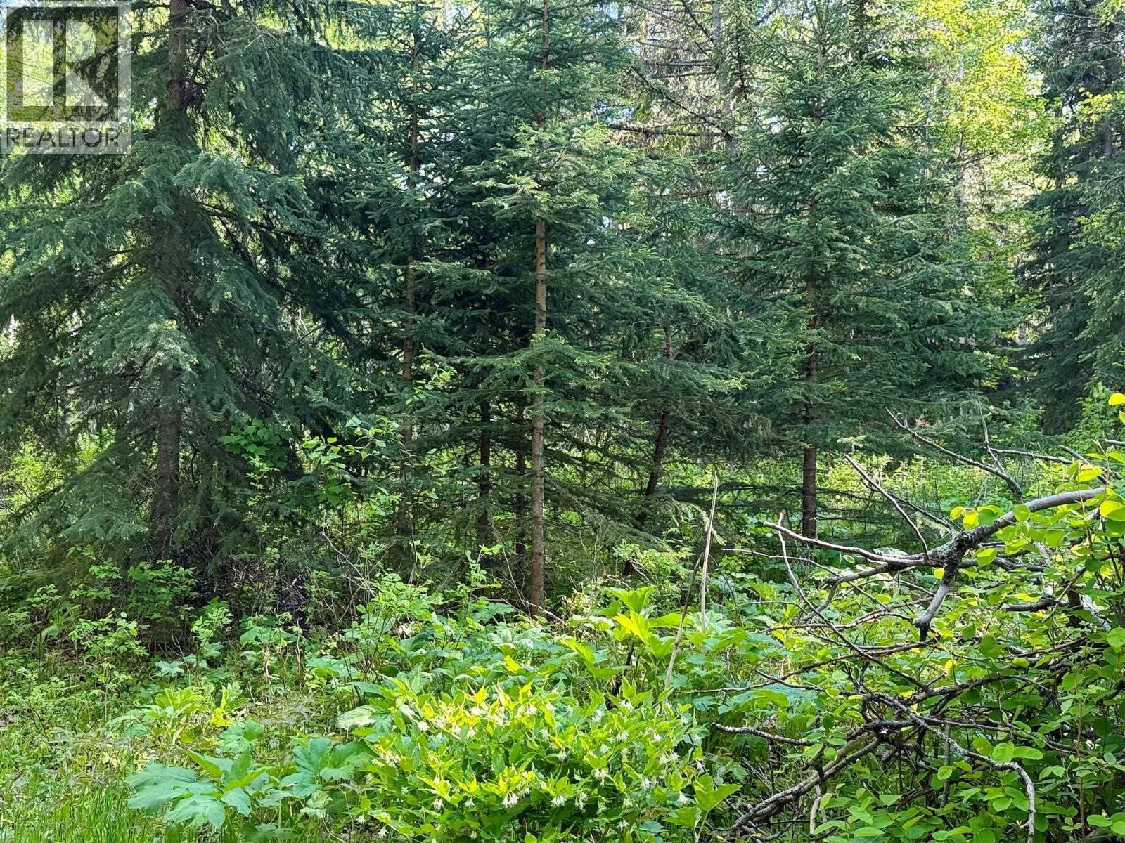 Photo 22 of 25 — 1475 KUENG ROAD · Prince George, BC