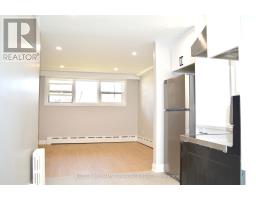 100 Portland Street, Toronto, ON M8Y1A7 Photo 29