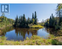 1190 Hekkla Road, Muskoka Lakes, ON P0C1J0 Photo 28