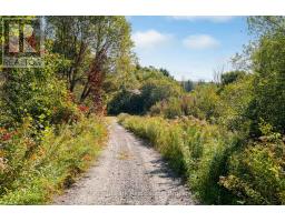 1190 Hekkla Road, Muskoka Lakes, ON P0C1J0 Photo 31