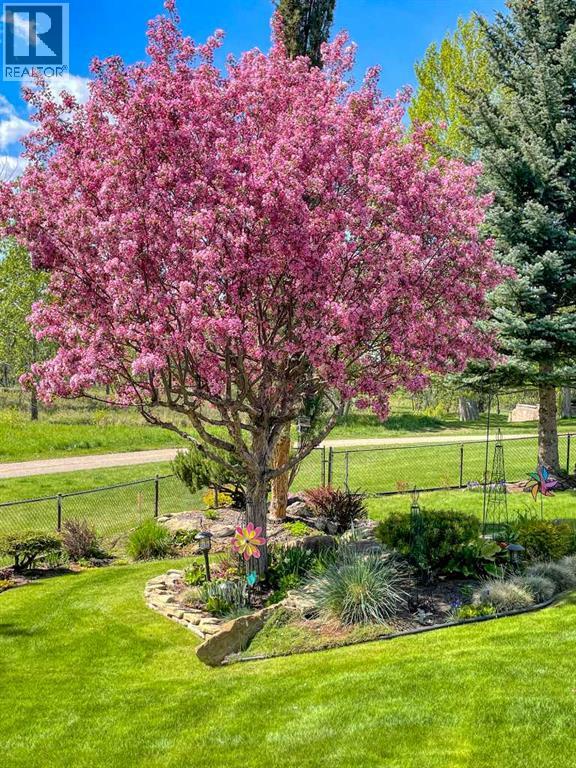 Beautiful Flowering Crab Tree in Backyard (photo provided by homeowner)