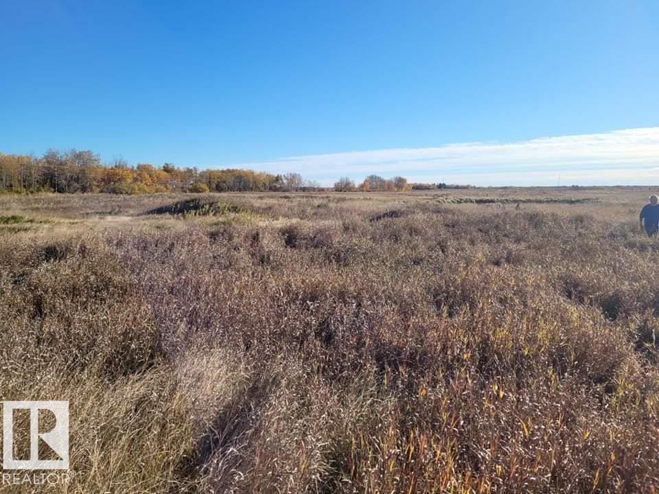 59373 RANGE ROAD 195 — photo 58