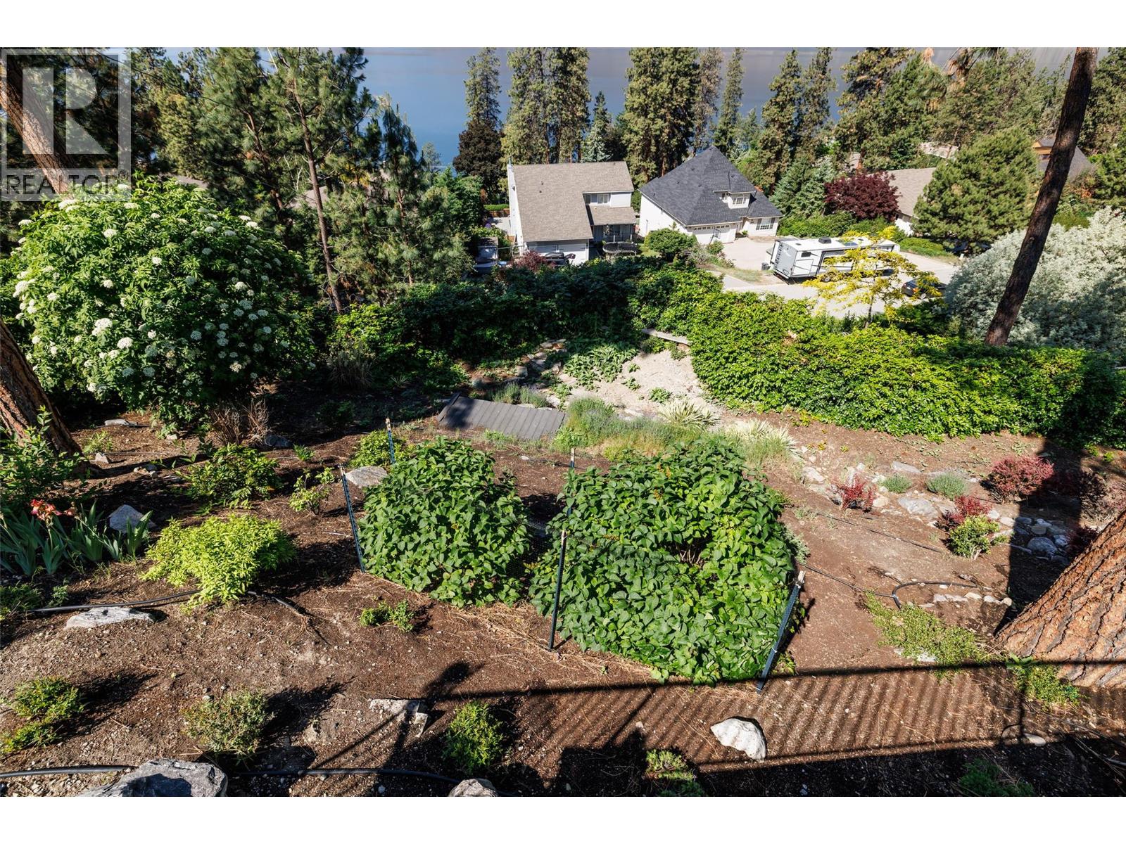 1928 Paly Road - 24