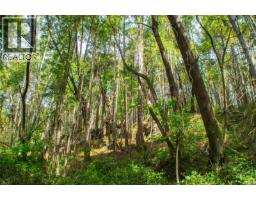 Lt 17 Ruxton Pl, Ruxton Island, BC V0R1X7 Photo 10