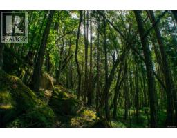 Lt 17 Ruxton Pl, Ruxton Island, BC V0R1X7 Photo 11
