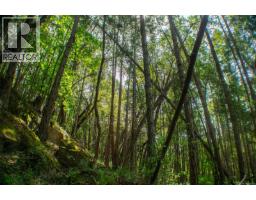 Lt 17 Ruxton Pl, Ruxton Island, BC V0R1X7 Photo 12
