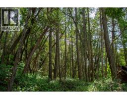 Lt 17 Ruxton Pl, Ruxton Island, BC V0R1X7 Photo 13