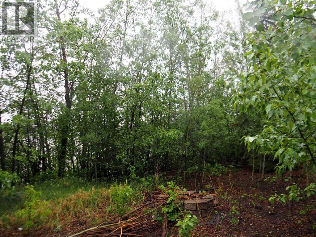 6 Spruce Close — photo 10