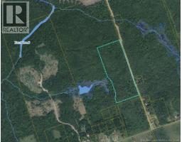 Lot Arthur Symes Lane, Beersville, NB E4T2M5 Photo 8