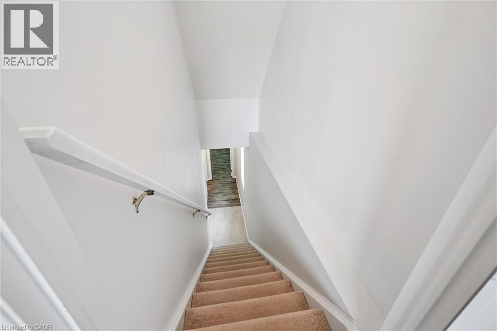 #3C 139 BRIGHTON Street - 25