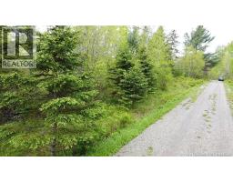 196 Ledge Road, Dufferin, NB E3L3P2 Photo 9