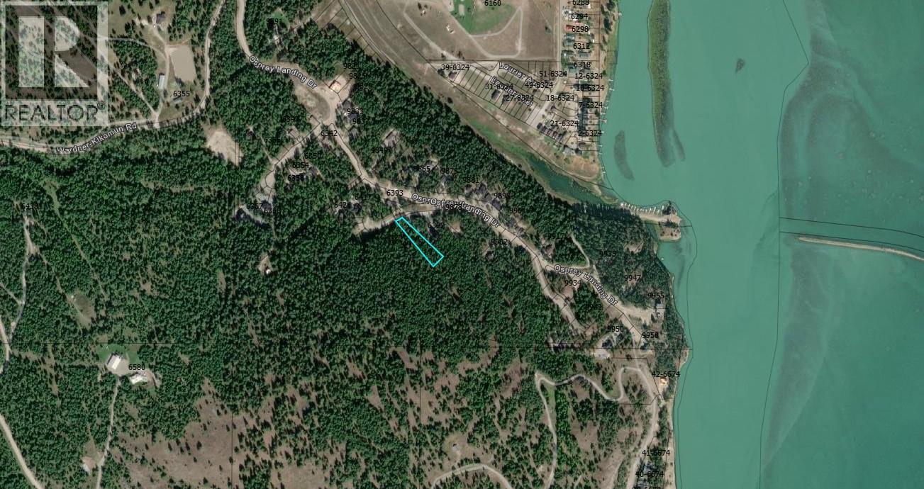 SL 55 Osprey Landing View, Wardner — photo 2
