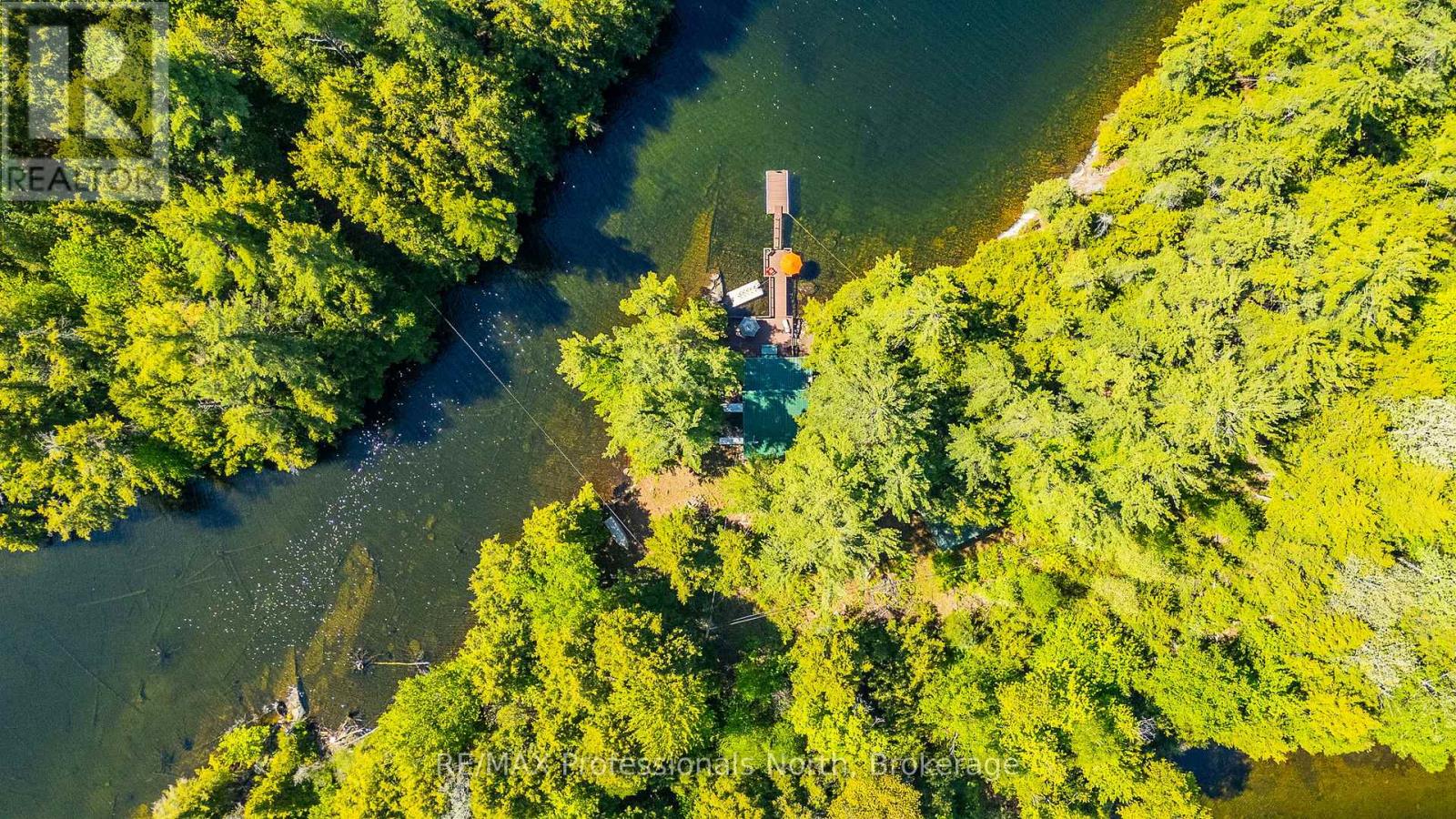 12556 LITTLE HAWK - SOME DAY ISLE - 49