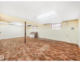 10206 173a Av Nw, Edmonton, AB T5X3X2 Photo 58