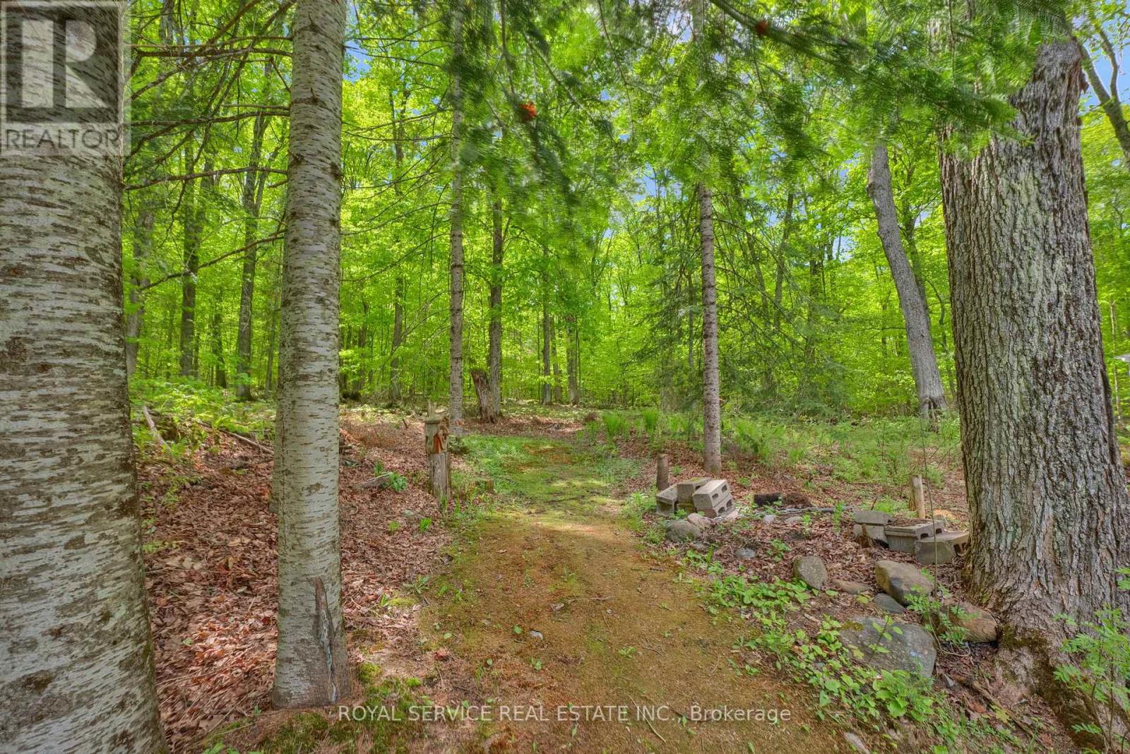 1039 GRACE RIVER ROAD - 37