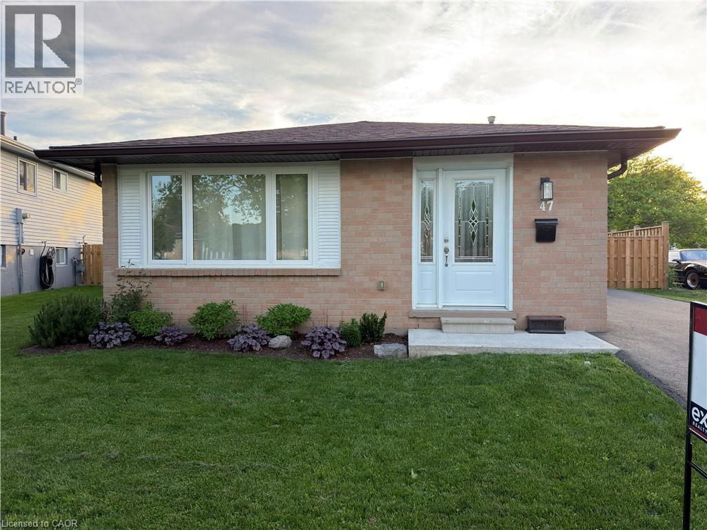 47 ODESSA Street - Image 3