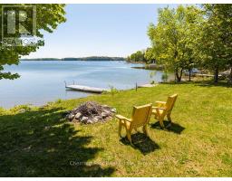 Kitchen - 189 Point Road, Grey Highlands, ON N0C1E0 Photo 12