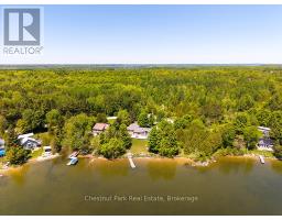 189 Point Road, Grey Highlands, ON N0C1E0 Photo 17