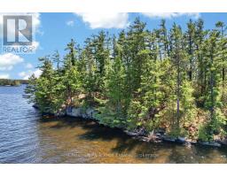 1 Island 20lm Island, Gravenhurst), ON P1P1R2 Photo 6