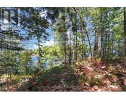 1 Island 20lm Island, Gravenhurst), ON P1P1R2 Photo 8