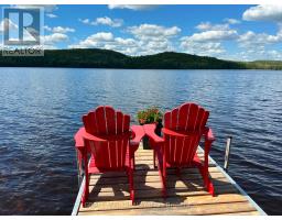 424 Lakewoods Drive, Madawaska Valley, ON K0J1B0 Photo 26