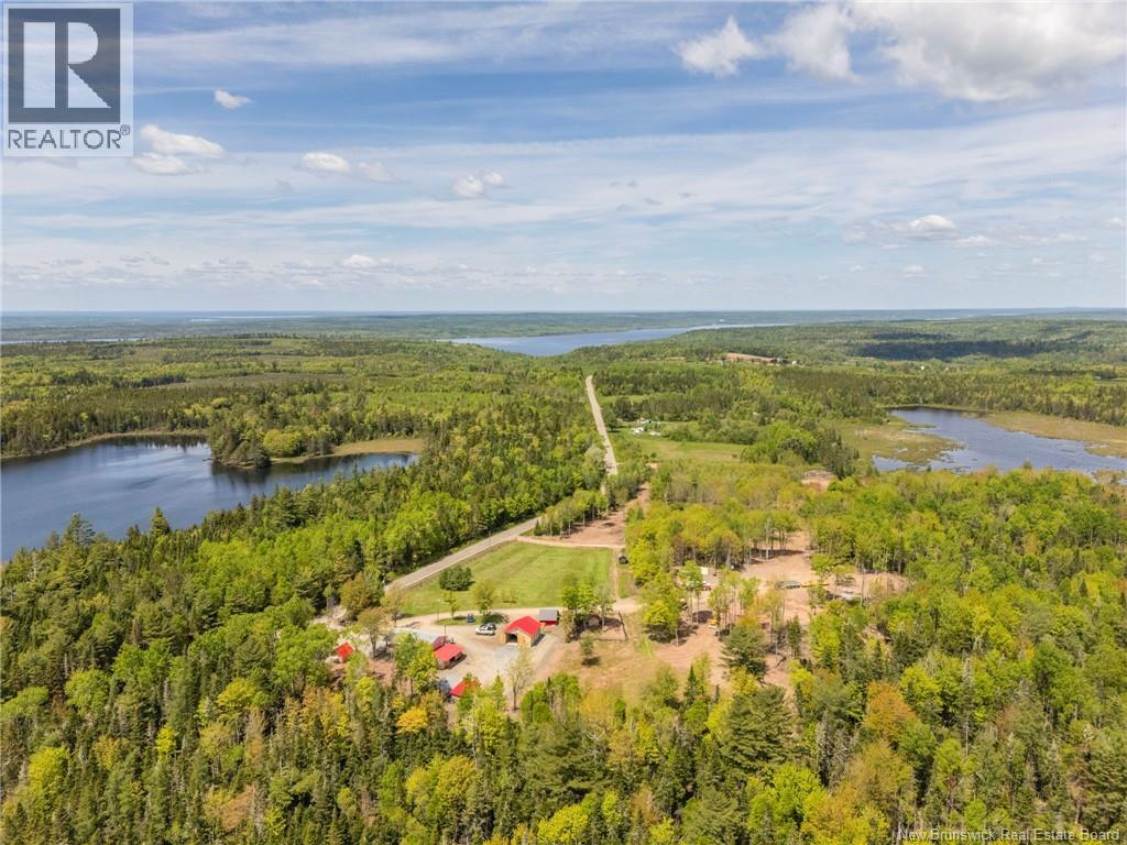 516 Carpenter Bald Hill Road - Image 18
