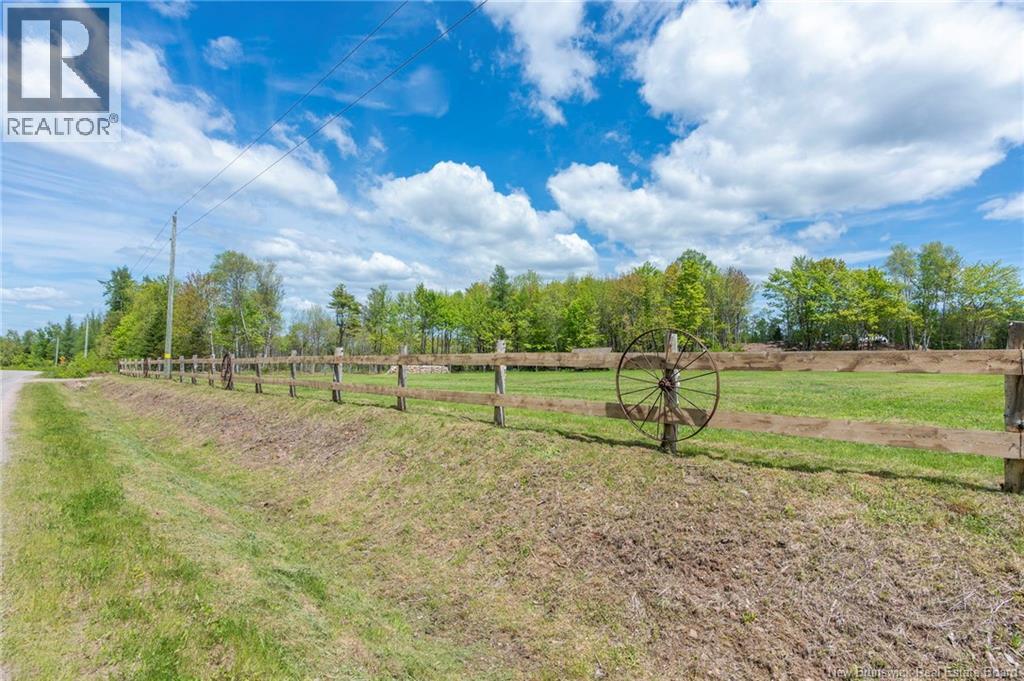 516 Carpenter Bald Hill Road - 50