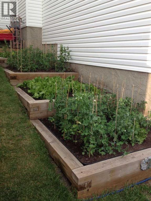 Garden in Summer