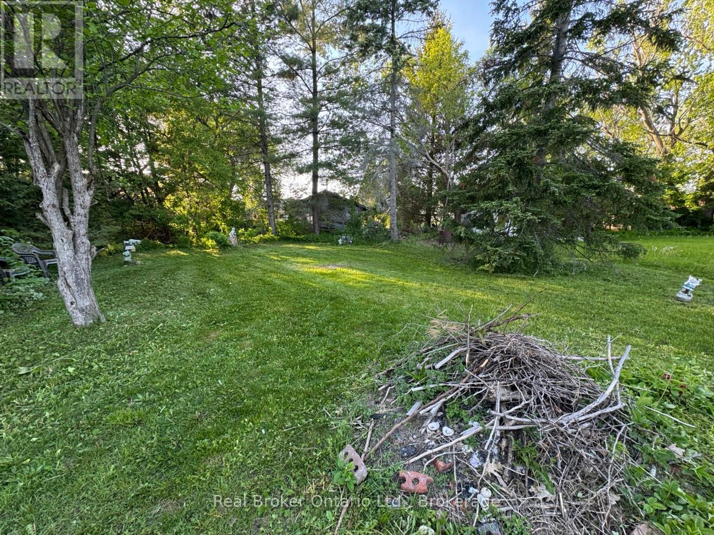 156 SILVER BIRCH CRESCENT - 17
