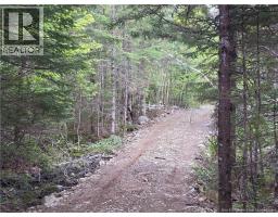 259 Hillard Farm Road, St George, NB E5A2X6 Photo 8