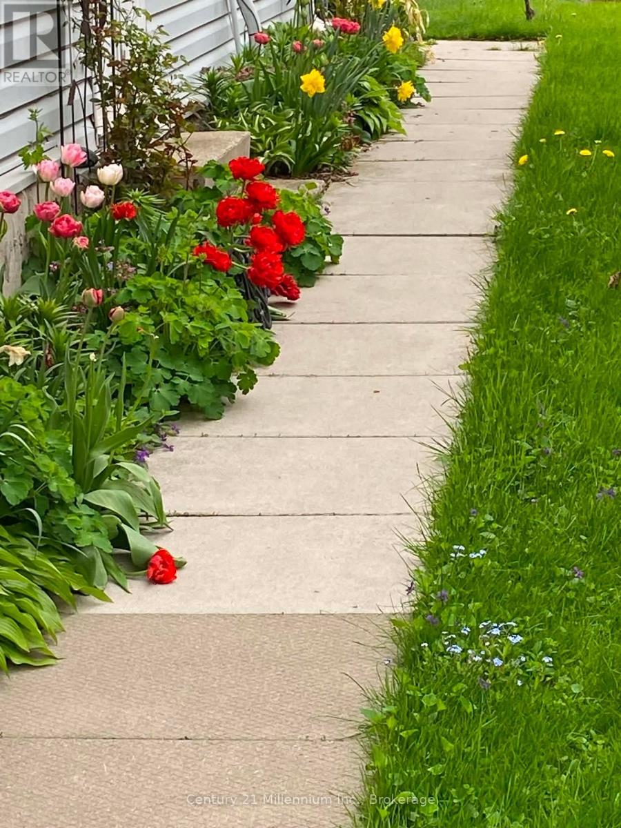 LANDSCAPED WALK