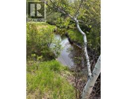 Lot Highway 134, Ward Corner, NB E4V2P3 Photo 27