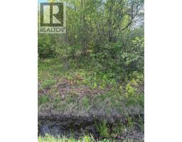 Lot Highway 134, Ward Corner, NB E4V2P3 Photo 35