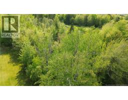 Lot Highway 134, Ward Corner, NB E4V2P3 Photo 8