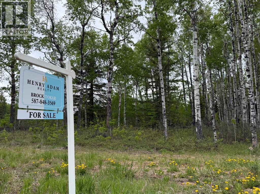 57, 704016 Range Road 70 - 8