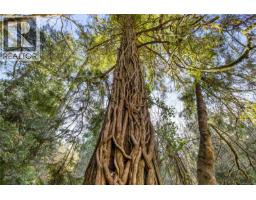 13475 Cedar Rd, Ladysmith, BC V9G1H5 Photo 30