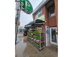A - 733 Pape Avenue, Toronto, ON M4K3S8 Photo 31