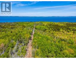 6173 Highway 101, Ashmore, NS B0W3T0 Photo 31